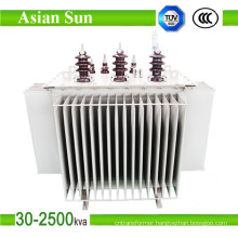 6kv/10kv/22kv/35kv Oil Immersed Power Distribution Transformer